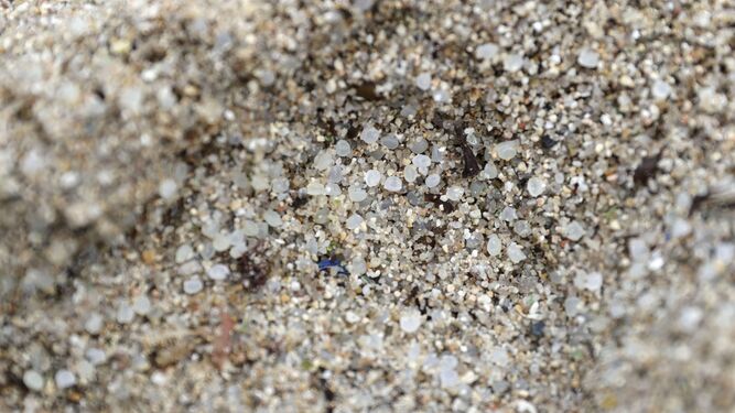Pellets de plástico en la arena
