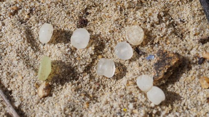 Así son los pellets, las pequeñas bolas de plástico presentes en varias playas españolas