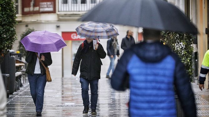 Varias personas pasean con sus paraguas por la lluvia en el centro de Cádiz.
