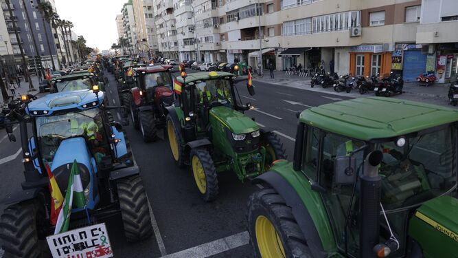 Tractores en la avenida principal de Cádiz.