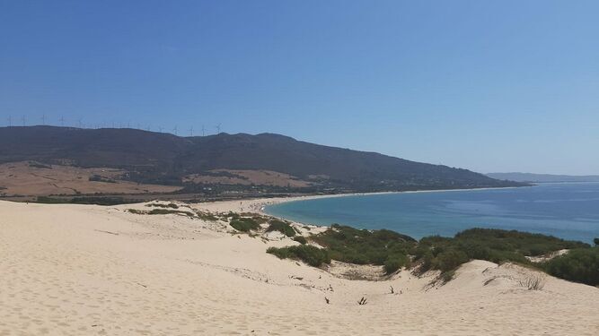 Vista de la playa de Punta Paloma desde sus dunas