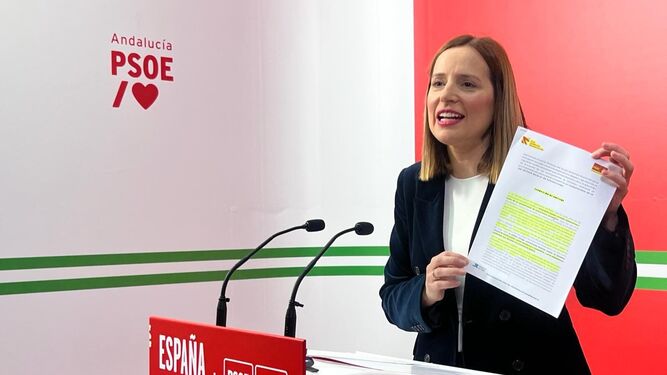 Ana Carrera, portavoz del grupo socialista en la Diputación de Cádiz.