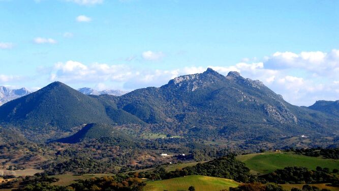 Una vista de parte del parque natural de la Sierra de Grazalema.