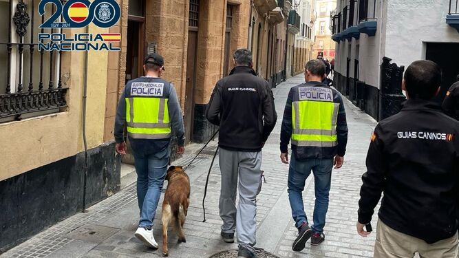 Agentes de la Policía Nacional con guías caninos, en Cádiz.