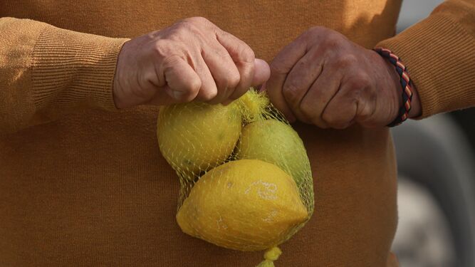 Los limones han bajado de precio