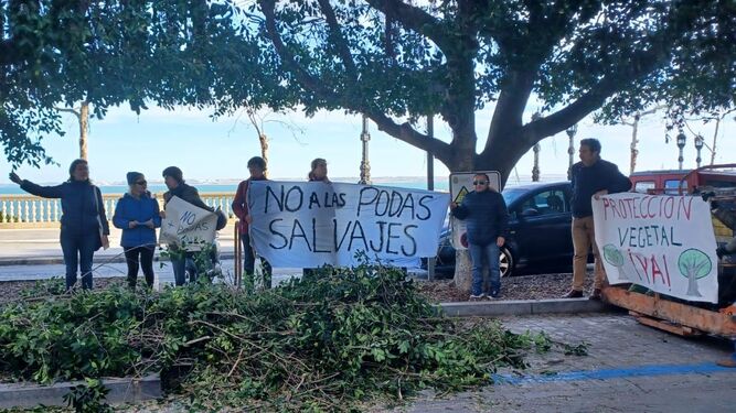 Miembros de Agaden-Ecologistas en Acción y de la Plataforma El Árbol durante su protesta por la poda de los ficus de la Alameda.