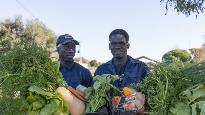Dos jóvenes migrantes preparando las cajas de verduras destinadas a los socios de la Fundación