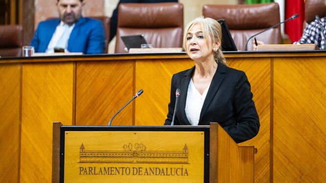 La consejera Patricia del Pozo en su intervención en el Parlamento de Andalucía.