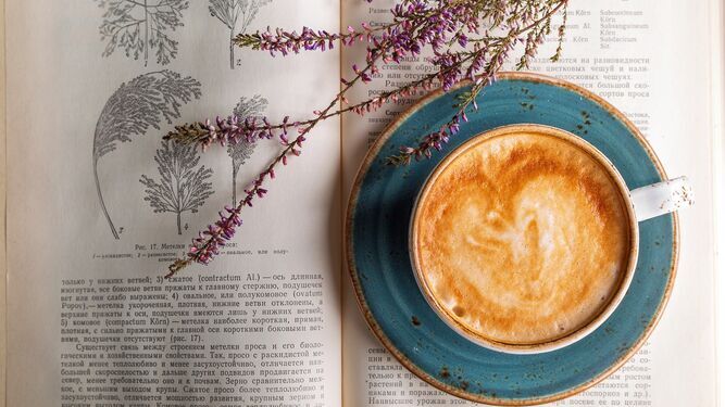 Taza de café sobre un libro
